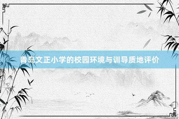 青岛文正小学的校园环境与训导质地评价